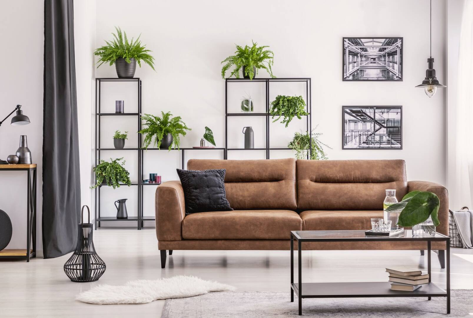 Interior design created by plant lover, different kind of plower